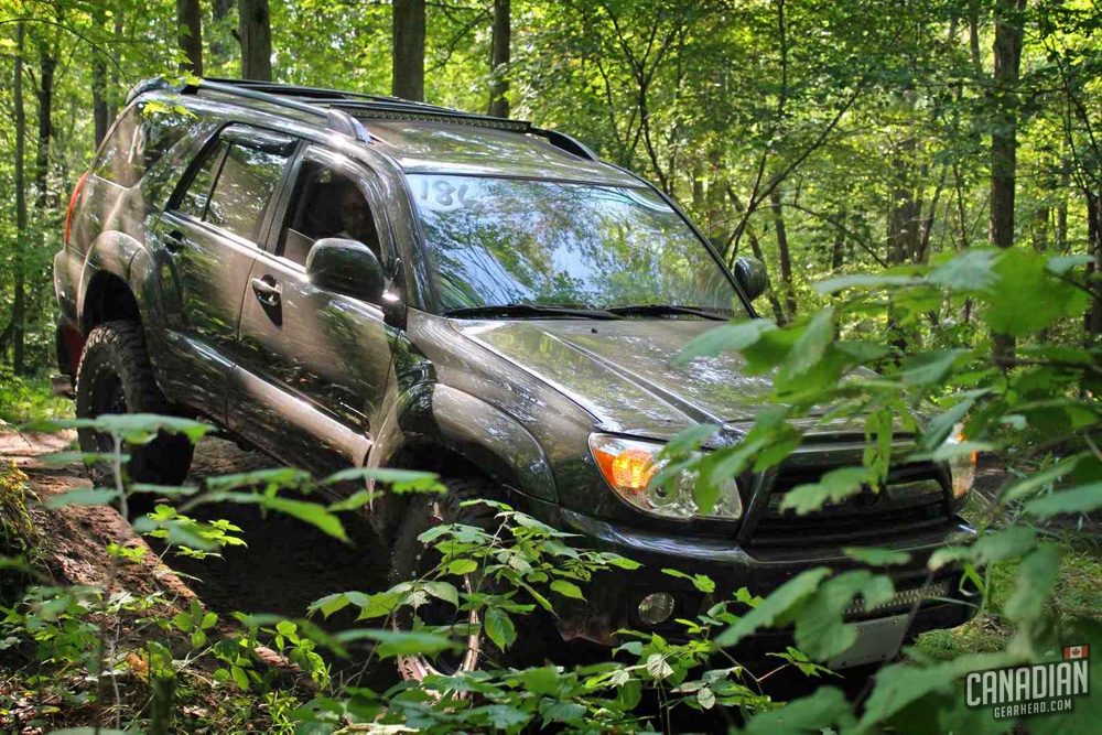 Toyota 4runner forest
